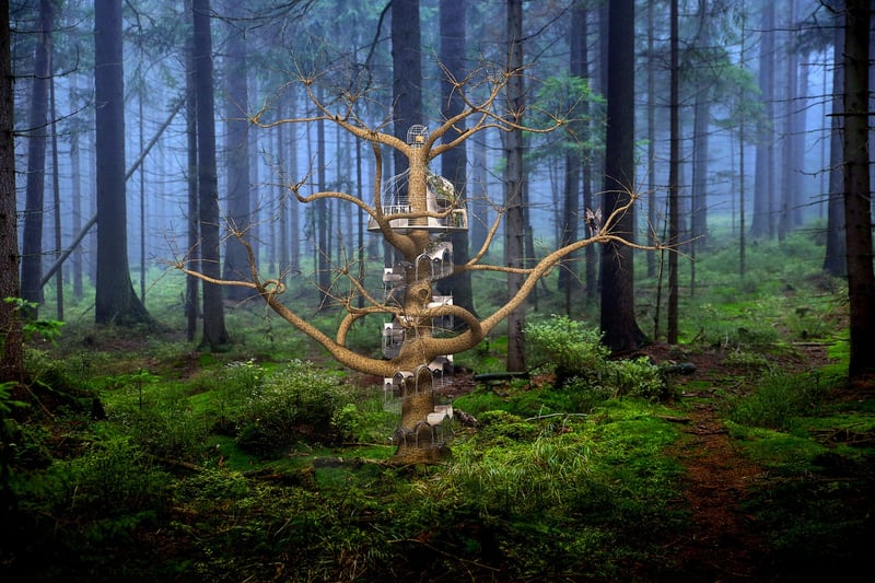 Magical kingdoms
