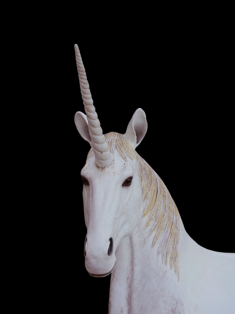 Fantasy Unicorn